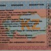 Führerschein, RU - DE (Kasachstan) – Bild 2