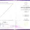 Zeugnis, Mittelschule (9 Klassen), Russland – Bild 3